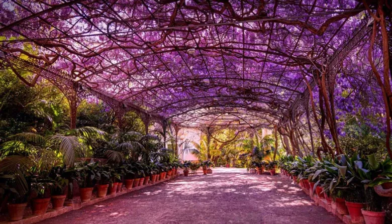 Jardín Botánico-Histórico La Concepción