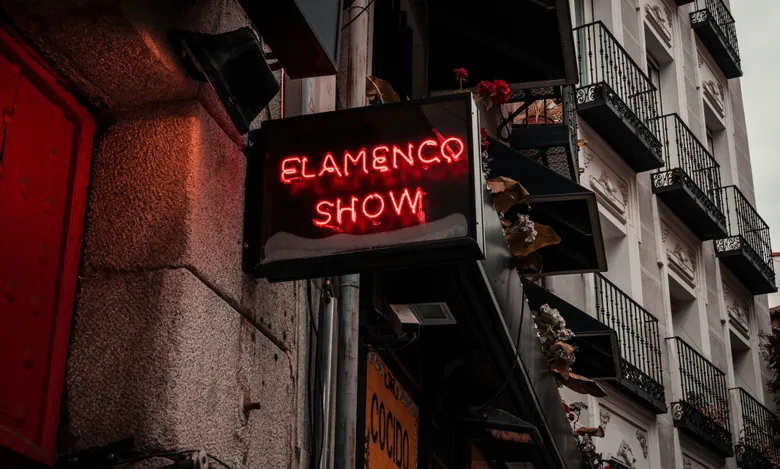 Show Flamenco in Madrid